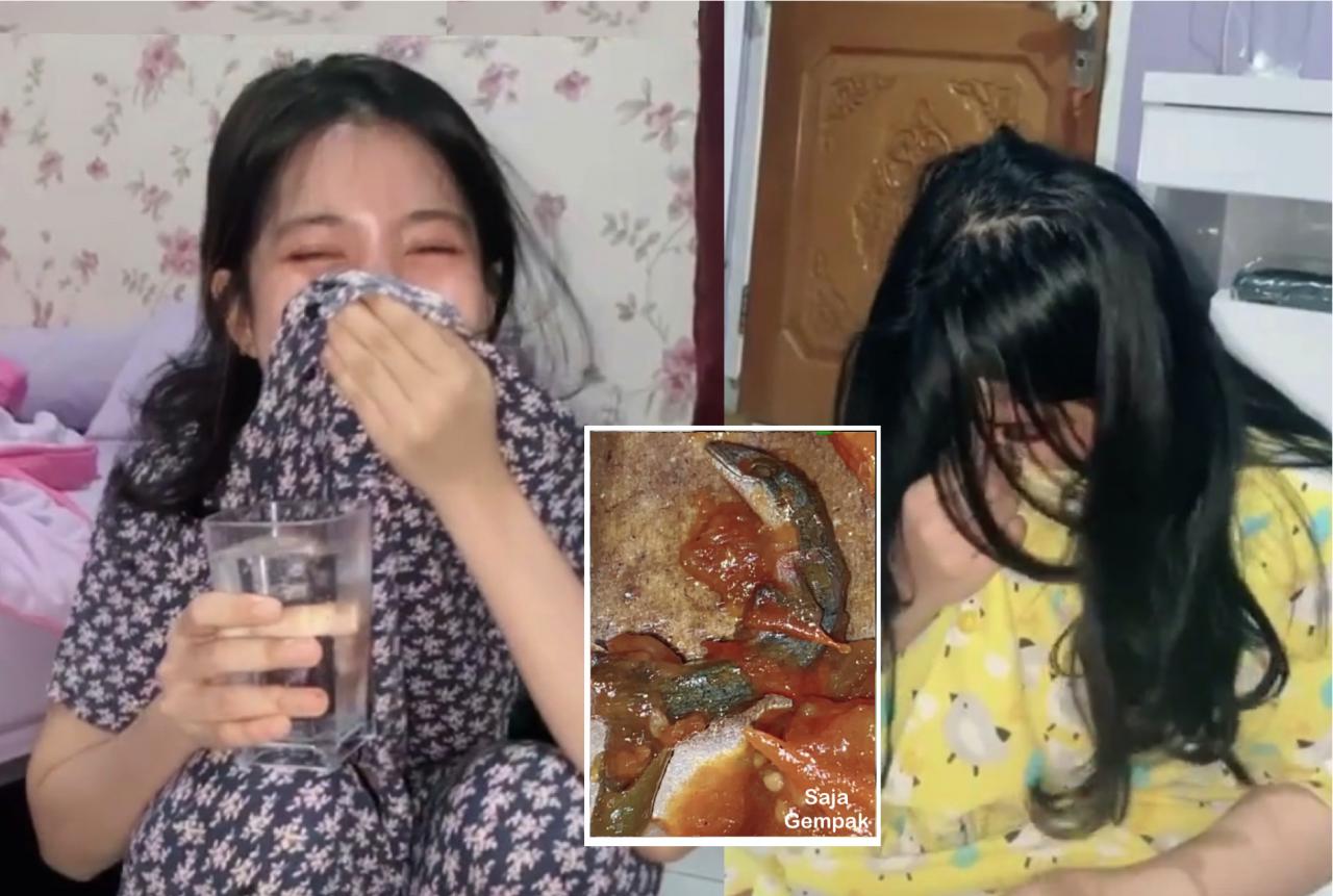Dah Nak Habis Dimakan, Gadis Yang Berselera Makan Bertukar Trauma Selepas Terjumpa Bangkai Cicak Dalam Sambal - sajagempak.com
